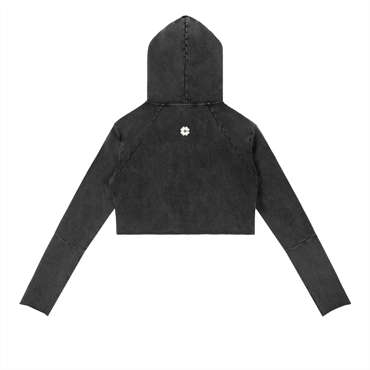 Hidden Icon Raw Crop Hoodie
