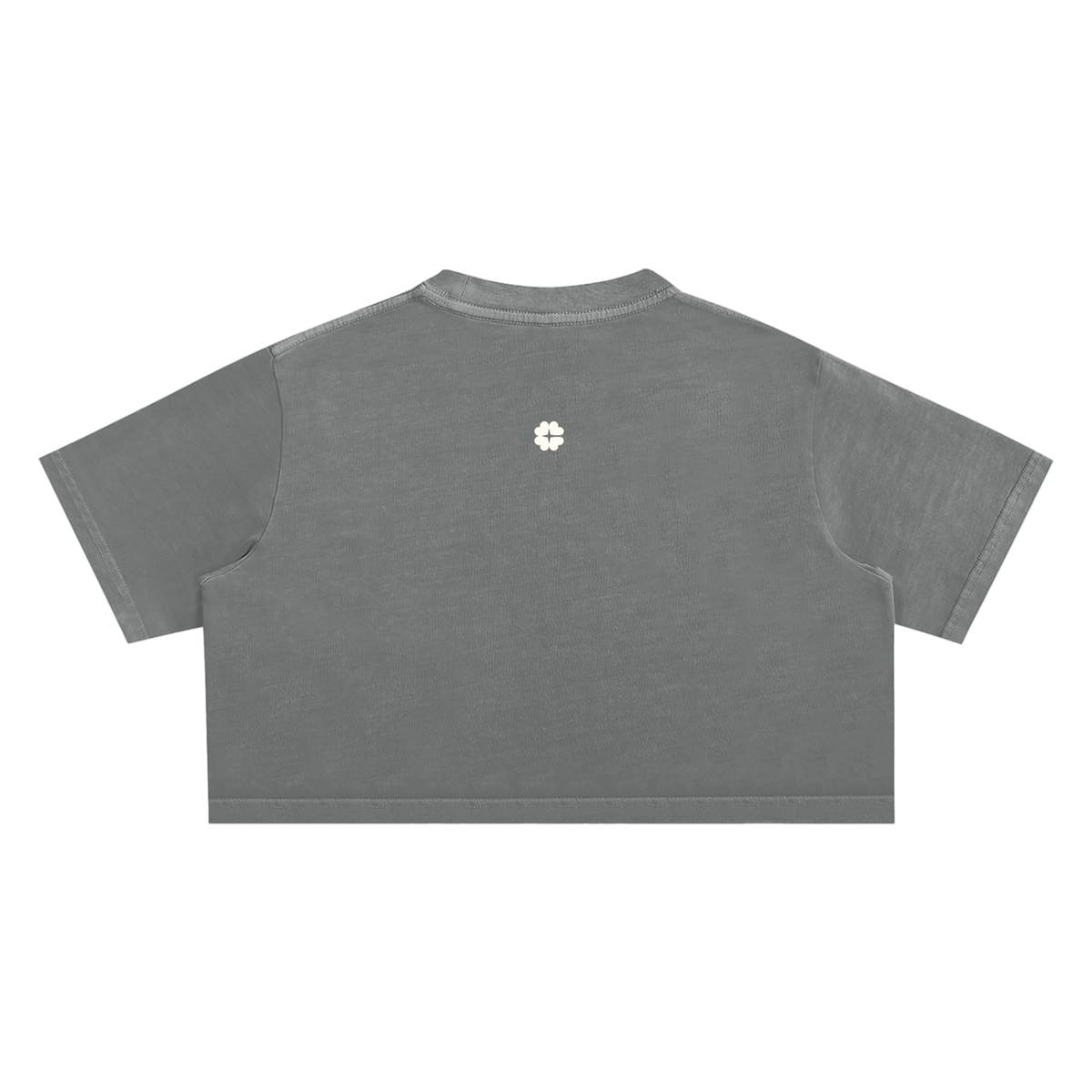 Faded Cleangirl™ Icon Crop Tee