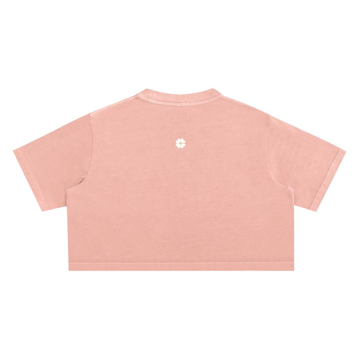 Faded Cleangirl™ Icon Crop Tee