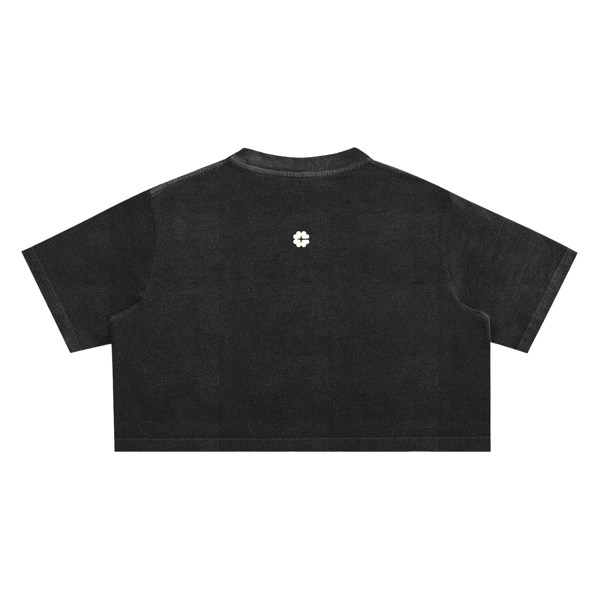 Faded Cleangirl™ Icon Crop Tee