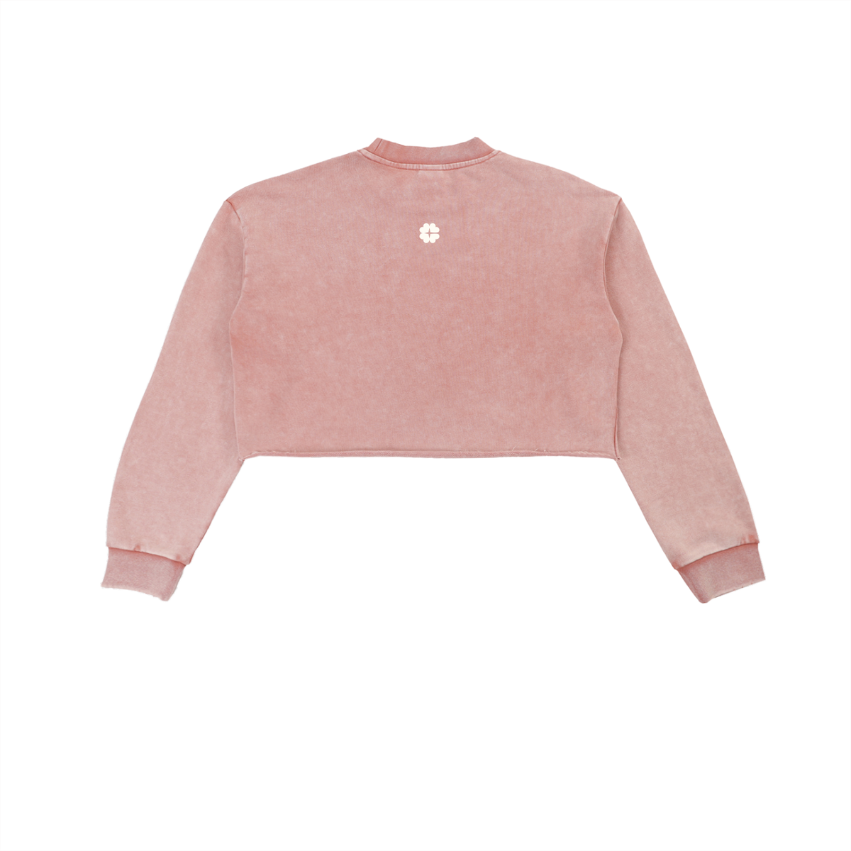 Faded 𝚖̶𝚎̶𝚊̶𝚗̶ Cleangirl Crop Crew