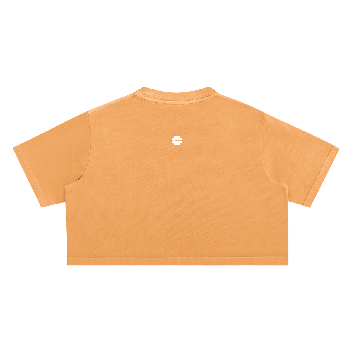 Faded Cleangirl™ Icon Crop Tee