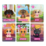 Cleangirl™ Rescue the Lost Pet Mystery Box