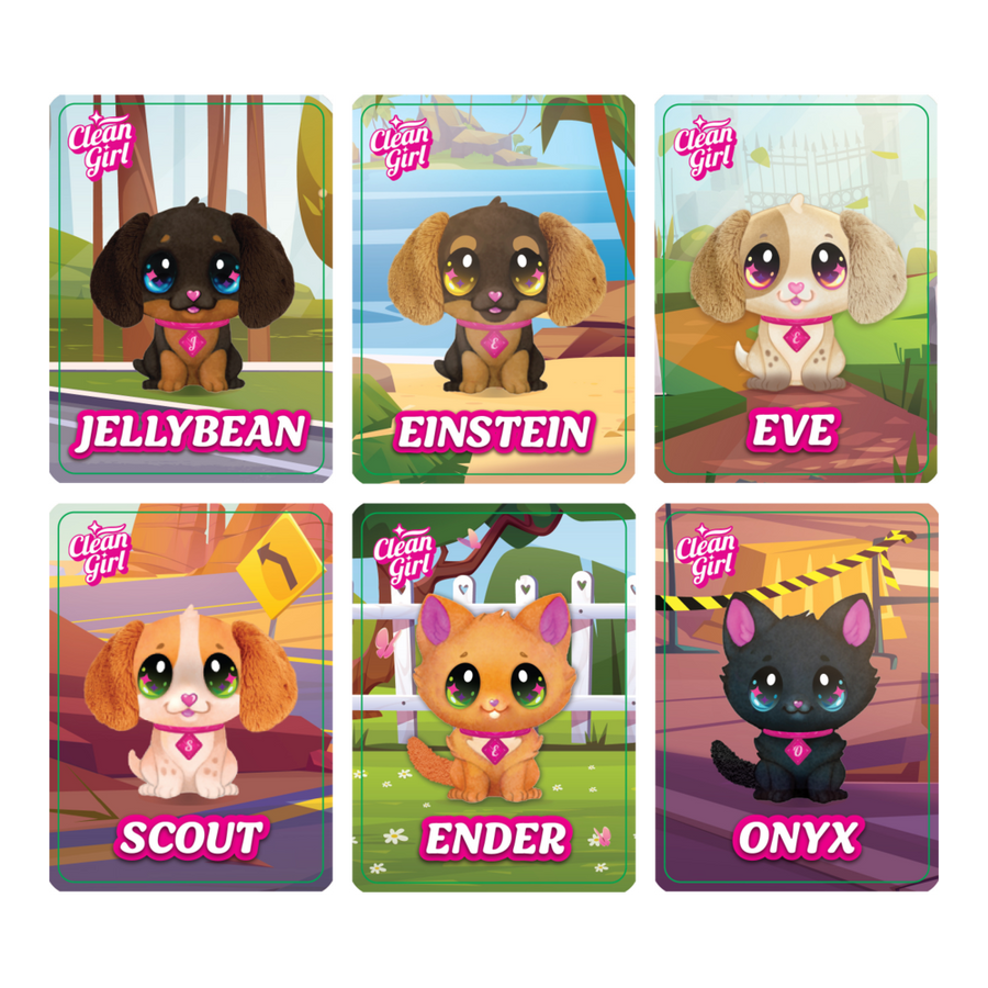 Cleangirl™ Rescue the Lost Pet Mystery Box