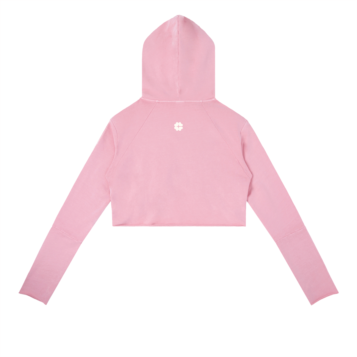 Hidden Icon Raw Crop Hoodie